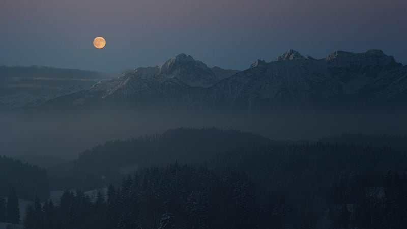 Moonlit Ceremony